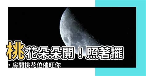 桃花位 房間|脫單必看4招「桃花運全開」！房間桃花位擺1物 異性。